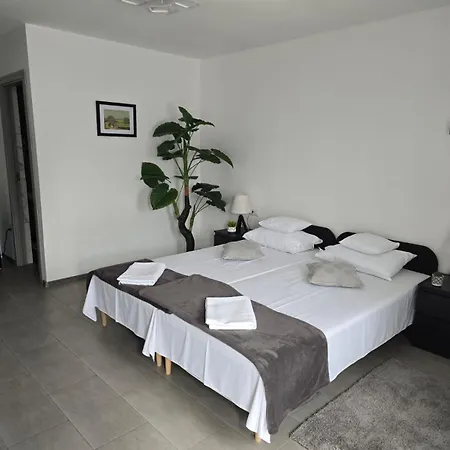 Appartement Micul Cosmopolit à Afumaţi Extérieur photo